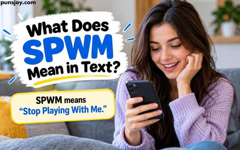 What Does SPWM Mean