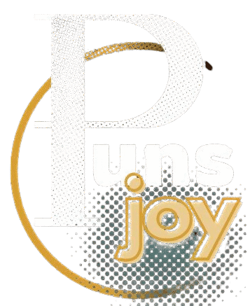 punsjoy.com