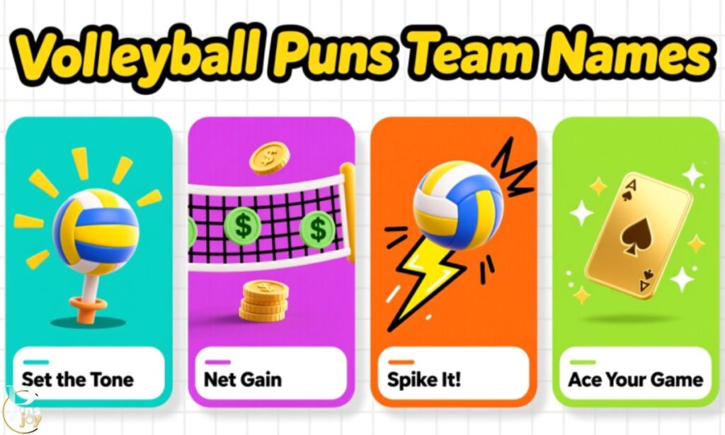 Volleyball Puns Team Names