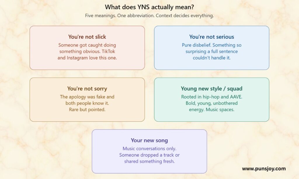 The Real YNS Meaning — And Why Every Site Disagrees