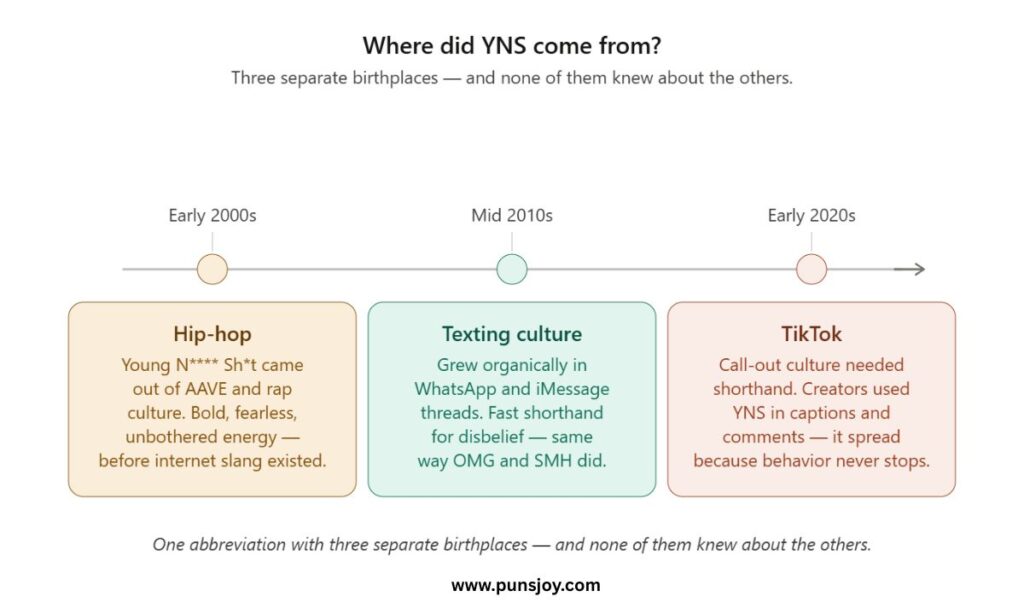 Where Did YNS Come From? Three Origins, One Abbreviation