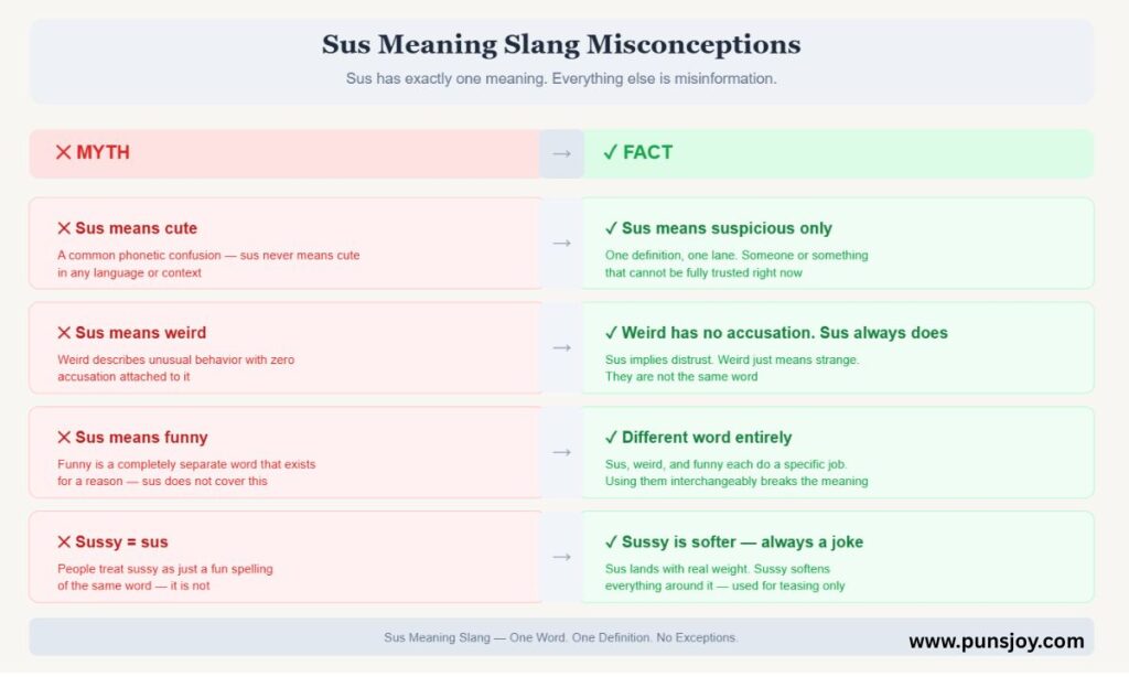 Sus Meaning Slang Misconceptions — Does Sus Actually Mean Cute?