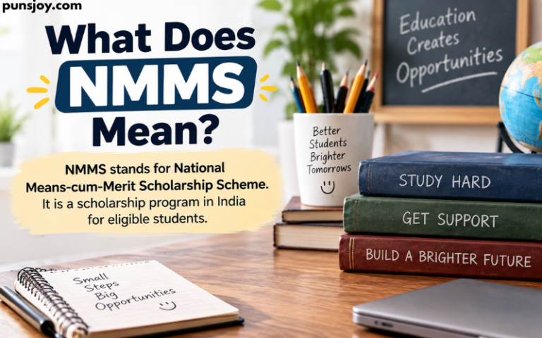 What Does NMMS Mean